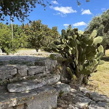Tatil Evi Trulli Donna Gina