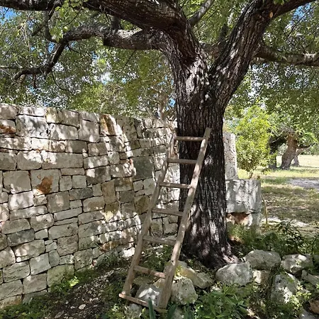 Tatil Evi Trulli Donna Gina *