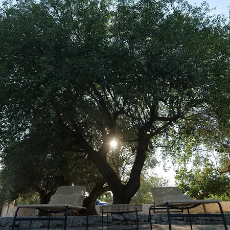 Tatil Evi Trulli Donna Gina